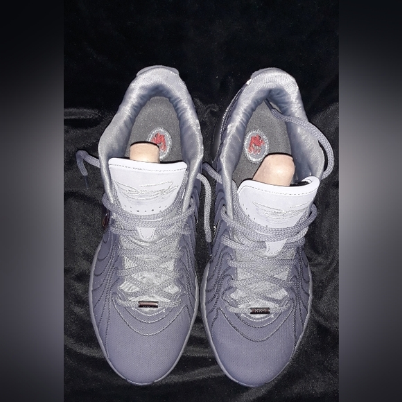 LeBron XXI Basketball Shoes Cool Grey/Iron Grey/Wolf Grey/Metallic  New in box - Picture 4 of 7